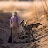 Nessiworld  Schleich Luna Lovegood Baby Thestral 42636