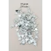 Oya Abiye Bileklik Kolye Pleksi Metalik Plastik Pul Gümüş Renk 24 gram 270 adet - BNC566