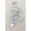 Oya Abiye Bileklik Kolye Pleksi Metalik Plastik Pul Gümüş Renk 8 gram 80 adet - BNC526