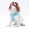 Pawstar Aqua Sunny Kapşonlu Tişört XXLarge 38X43X58 cm