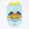Pawstar Mint Sunrise Tişört XLarge 34*38*55 cm