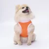 Pawstar Orange Joy Tişört Large 30x33x46 cm