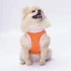 Pawstar Orange Joy Tişört Small 23x24x37 cm