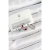 Pirinç Zirkon Taşlı Bordo Pembe Halka Model Gümüş Renk 3lü Çift Kadın Küpe Set