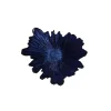 Porland Coralline Kase 31cm