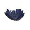 Porland Coralline Kase 31cm