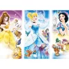 Pr709 Prenses 50 Parça Puzzle -ks Puzzle