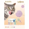 Ranova Kabak Aromalı Dondurularak Kurutulmuş Kedi Ödülü Lolipop 1.4 Gr