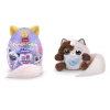 Rar29000 Rainbocorns Kittycorn Sürpriz / S3-92104