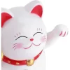 Şanslı Kedi