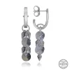 Luz&Pos Swarovski Crystal Taşlı Gümüş Salkım Sallantılı Çivili Kadın Küpe