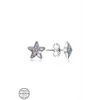Luz&Pos Swarovski Crystal Taşlı Gümüş Yıldız Çivili Kadın Küpe