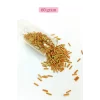 Uzun Boru Kesme Boncuk Çap 2mm Uzunluk 10 mm - 60 Gram - Yeşil Turuncu - BNC300