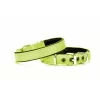 Yumuşak Doku Köpek Boyun Tasması 2/45 cm Yeşil