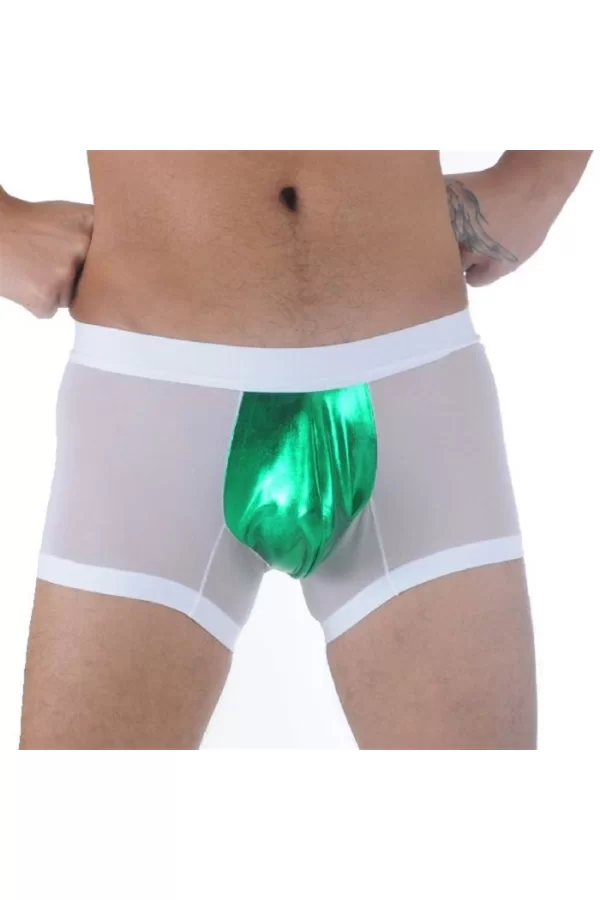 Br291109 Transparan Boxer
