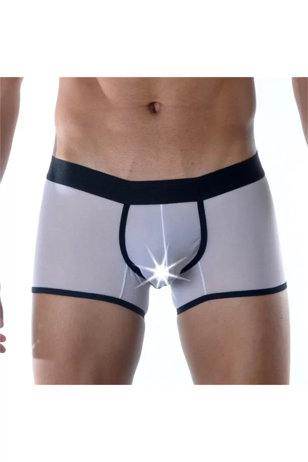Fantazi Erkek  Boxer