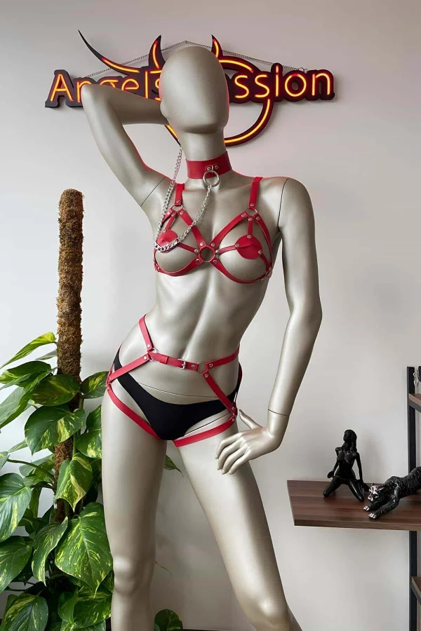 Kırmızı Deri Tasma Detaylı Şık Harness Takım