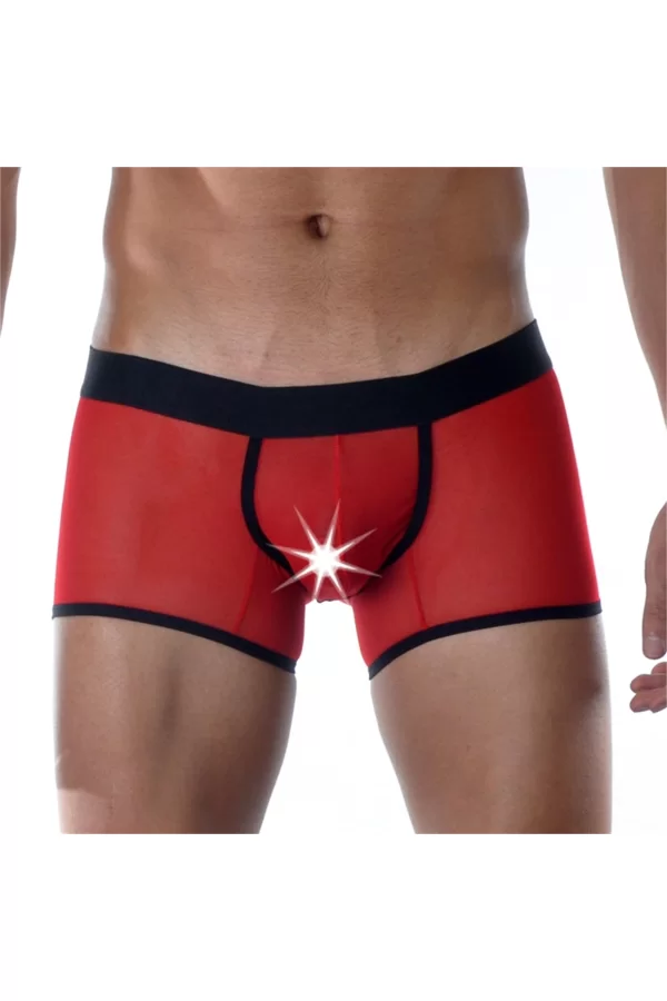 Kırmızı Erkek  Boxer