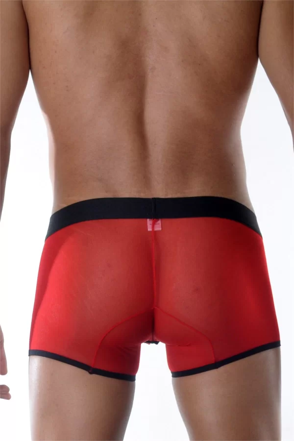 Kırmızı Erkek  Boxer