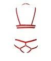 3 Parça Seksi Harness Sütyen Takım - Brf144