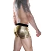Erkek  Fantezi Boxer