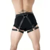 Fiyonklu Erkek  Bel Ve Bacak Deri Harness - Brfm89