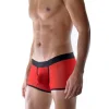 Kırmızı Erkek  Boxer