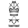 Özel Tasarım Seksi Harness Takım - Brf350