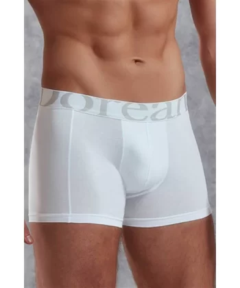 Doreanse Erkek Modal Normal Paça Boxer 1777p