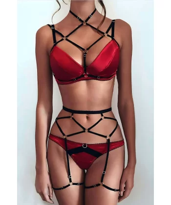 Seksi Harness Jartiyer Takım - Brf291