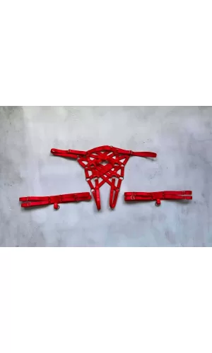 Ağı Açık Fantazi Külot Ve Bacak Bandı Takımı Lastik Harness - Brf1202