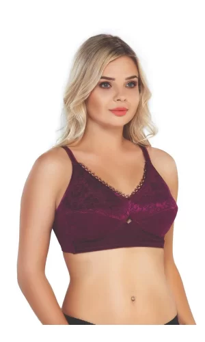 Bordo Mı Emay 130 C Toparlayıcı Sütyen