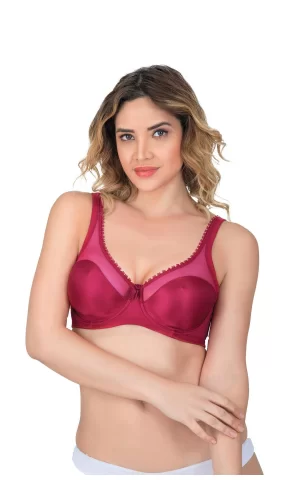 Bordo Mı Emay 169 B Basic Balenli Toparlayıcı Sütyen