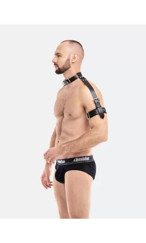 Erkek  Modeli