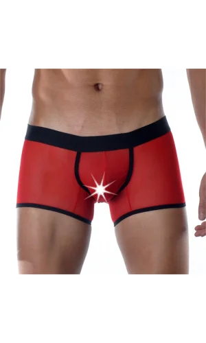 Kırmızı Erkek  Boxer