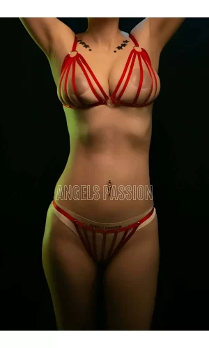Lastik Harness Sütyen Külot Takım - Brf555