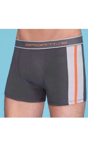 Erkek  Modal Boxer 1080