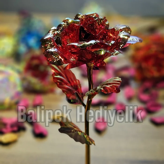 Renkli Sonsuzluk Gülleri - Yapay Solmayan Gül