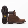 CAT GOLDEN DARK BROWN
