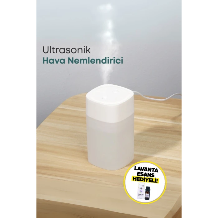 Magnesia Buhurdanlık Aromaterapi Difizörü LAVANTA ESANSI HEDİYELİ!