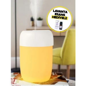 Magnesia Buhurdanlık Aromaterapi Difizörü LAVANTA ESANSI HEDİYELİ!