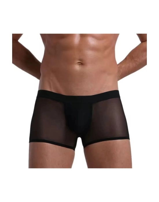 Fantezi  Transparan  Tül Erkek Boxer  Fantezi Tanga BC4603