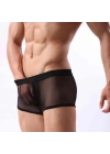 Fantezi  Transparan  Tül Erkek Boxer  Fantezi Tanga BC4603