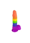 Wossi Rainbow Dildo 19 cm