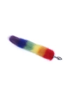Tilki Kuyruk Anal Plug Rainbow