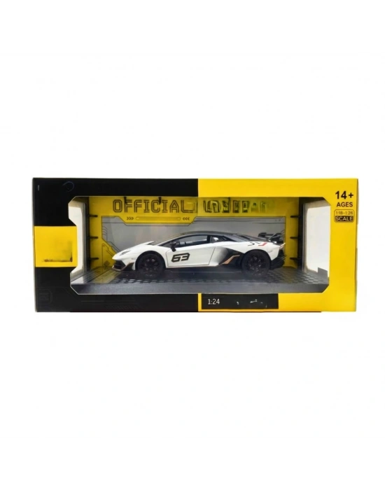 1/24 Model Araba