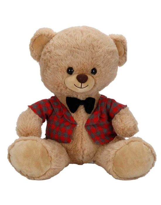 4810 Peluş Ayı Elbiseli 32CM 2A