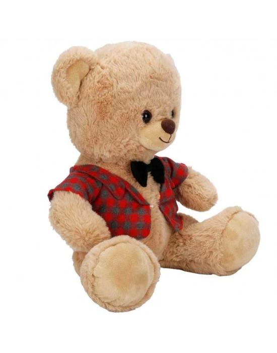 4810 Peluş Ayı Elbiseli 32CM 2A