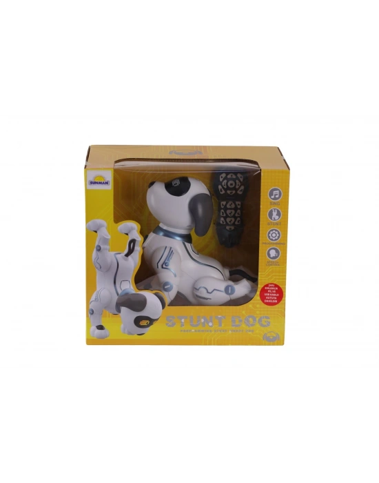 5136 Sun-rst-rc Robot Akrobat Köpek Ff Sesli 3 7V Usb