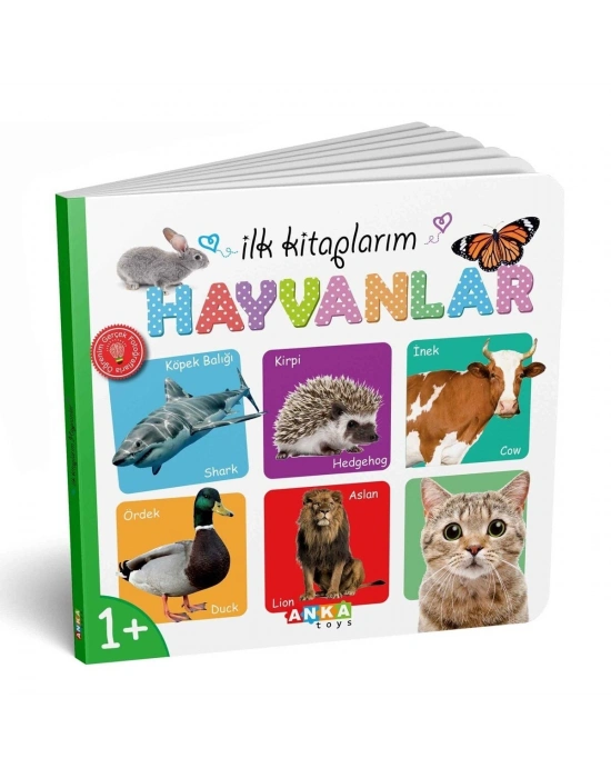 7202 İlk Kitaplarım 6LI Set